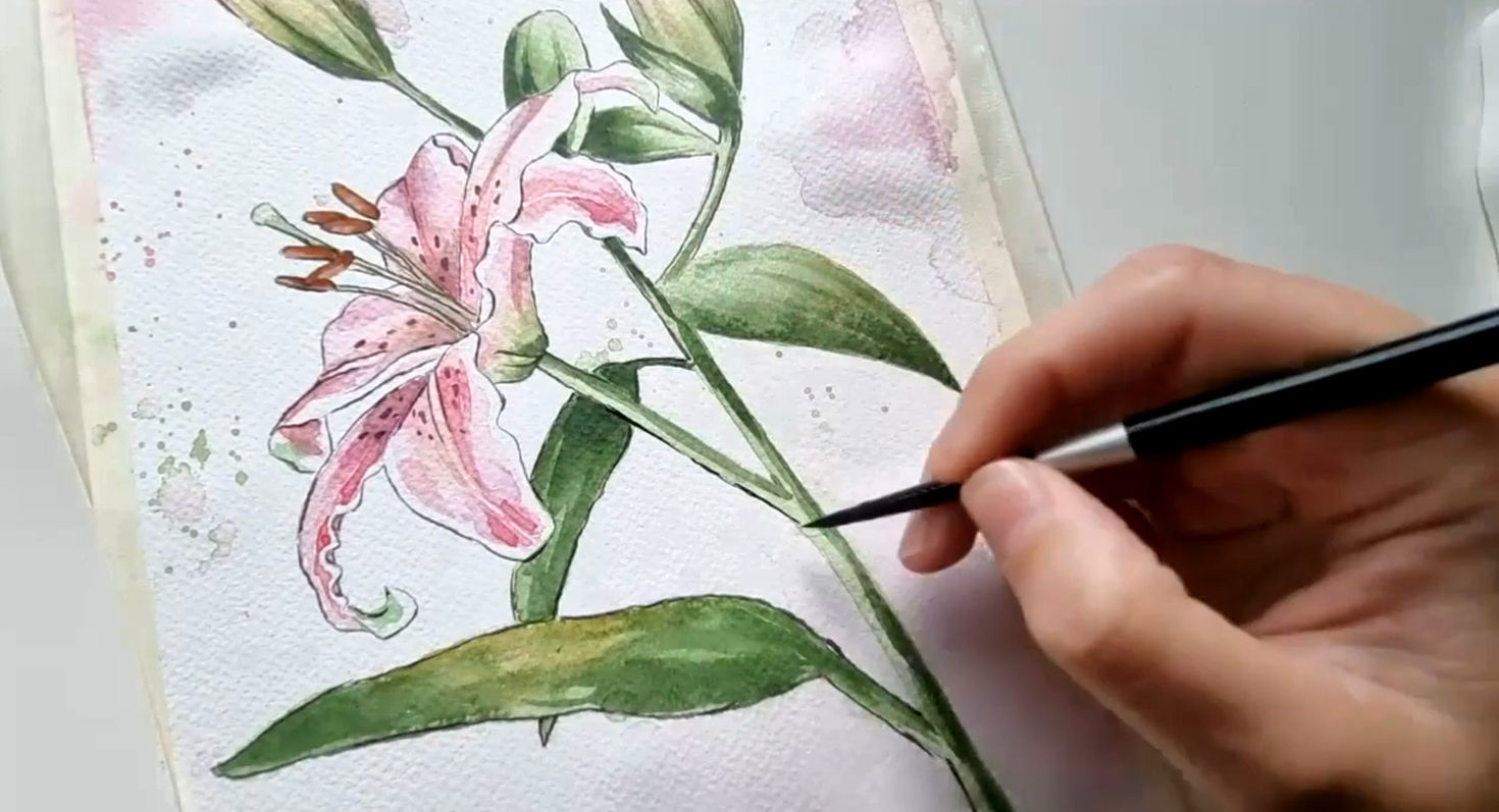 Stargazer Lily | Online Workshop